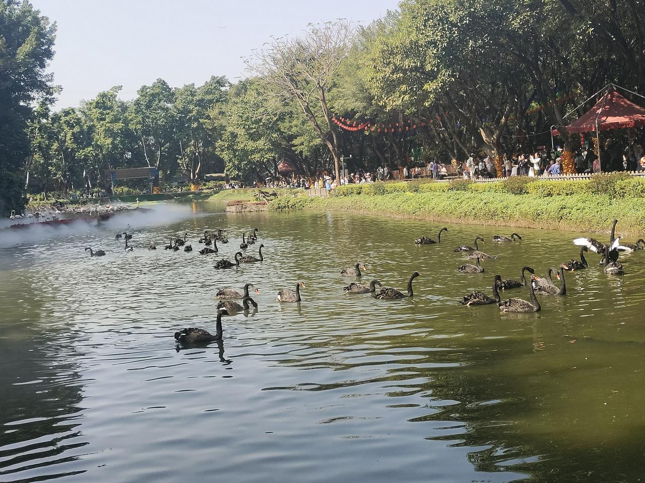 莫言直言：真正的爱，从来不是普通人能给的
 
为什么你总在感情里受伤？莫言一句话