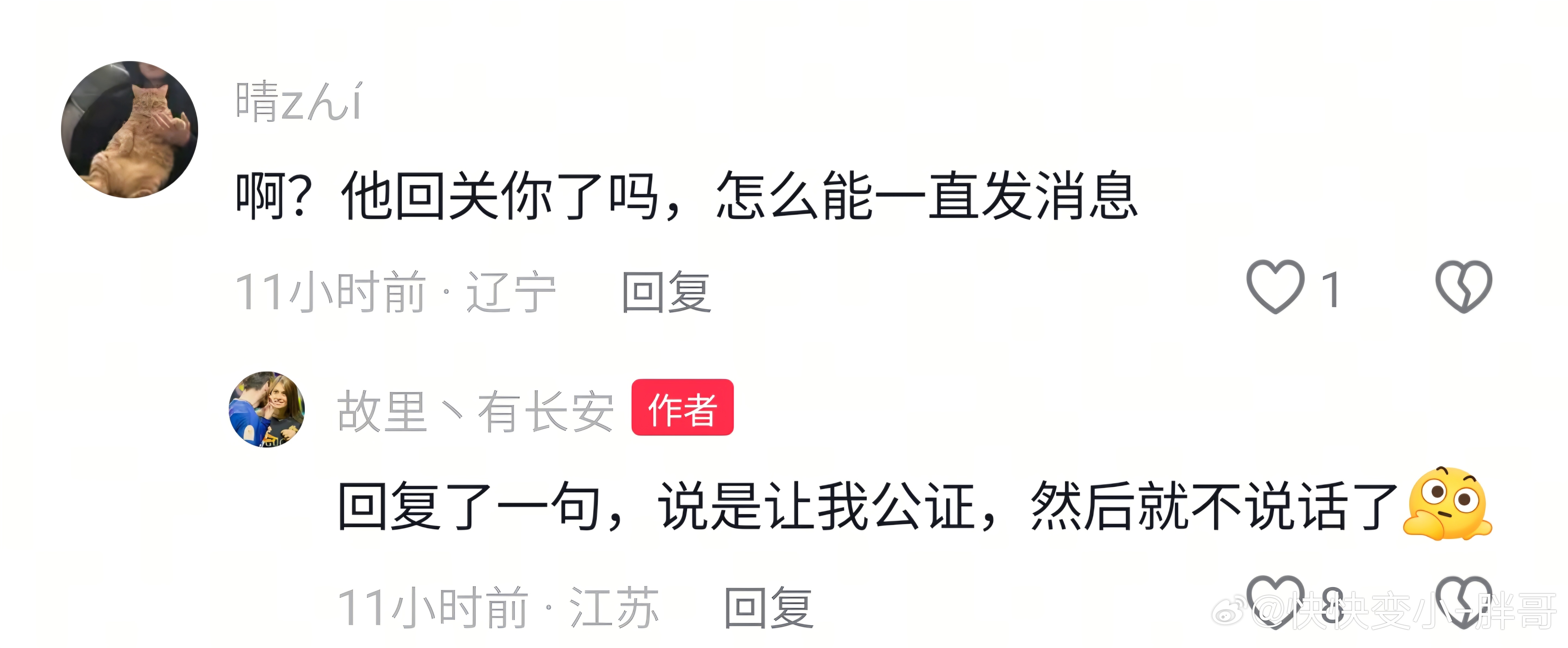 这些人真是赢麻了呀让他去做公证不去做，就说英短怂了