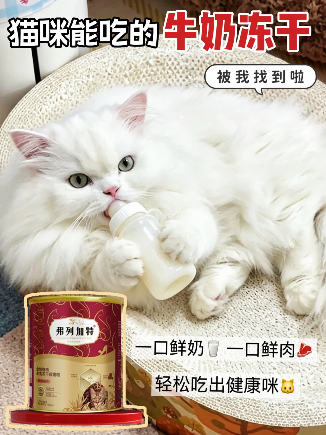 口袋奶冻干上线！馋奶小猫再也不用眼巴巴