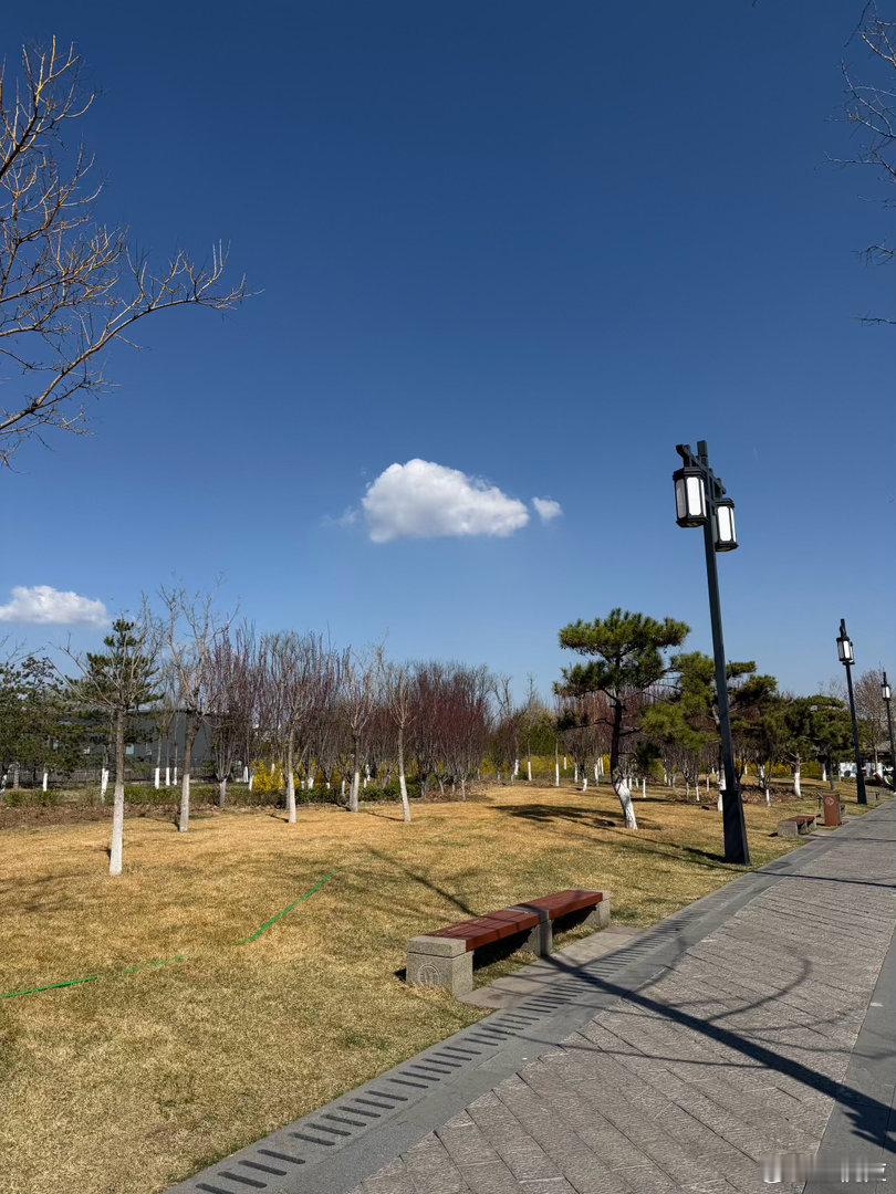 春来发几枝 