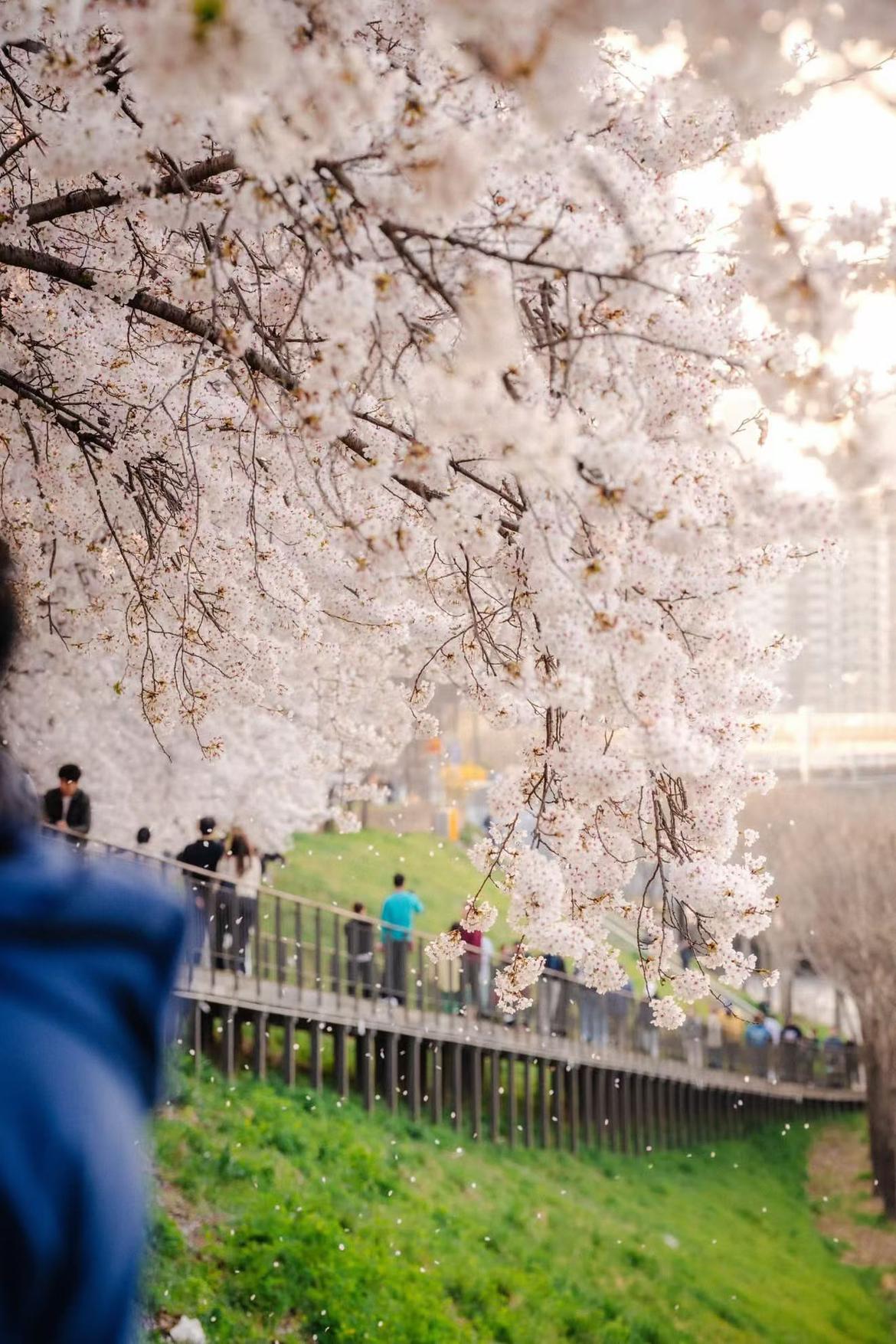 我的今日状态：😁轻松愉快
我这里的天气：☀️晴天