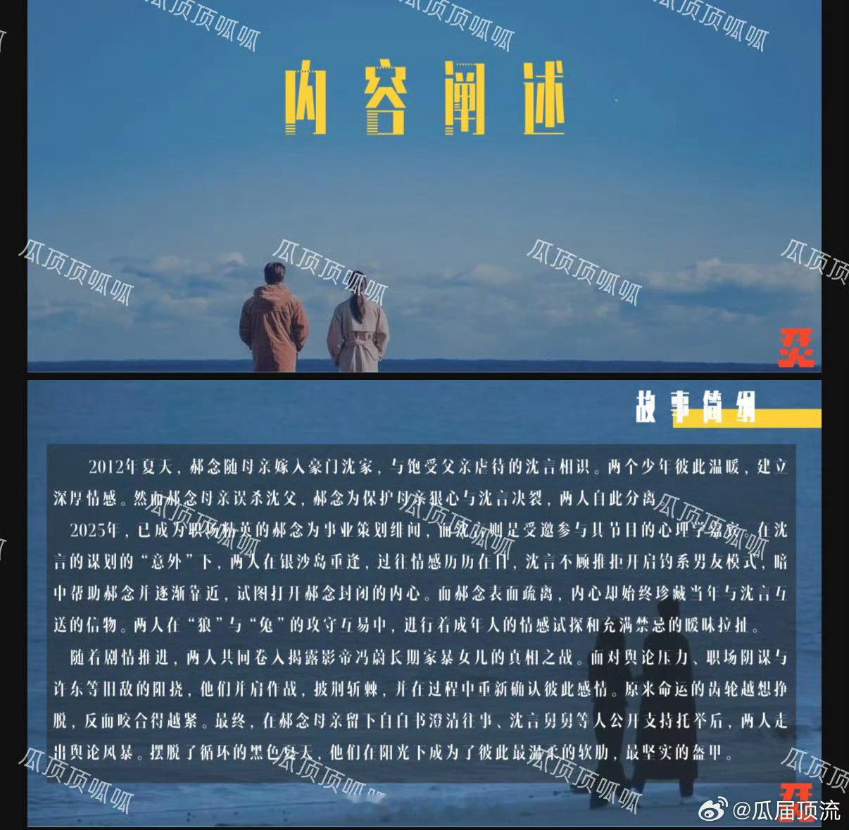 丁舟杰（丁禹兮） 、孟子义（按姓氏笔画排序）主演《爱在无尽夏》故事简介、人物介绍
