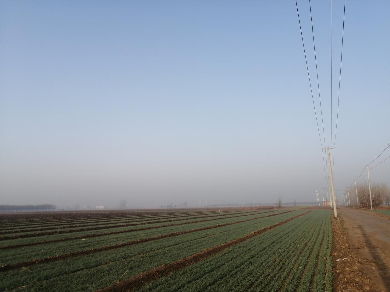 别的地方不知道，这两天家族中的一场婚礼刚刚结束，收礼金大概九万元左右，关系好的二