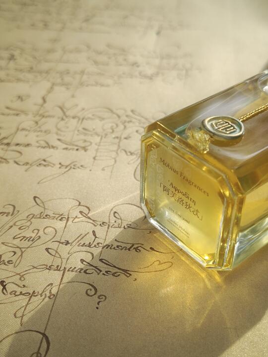我的书法搭子