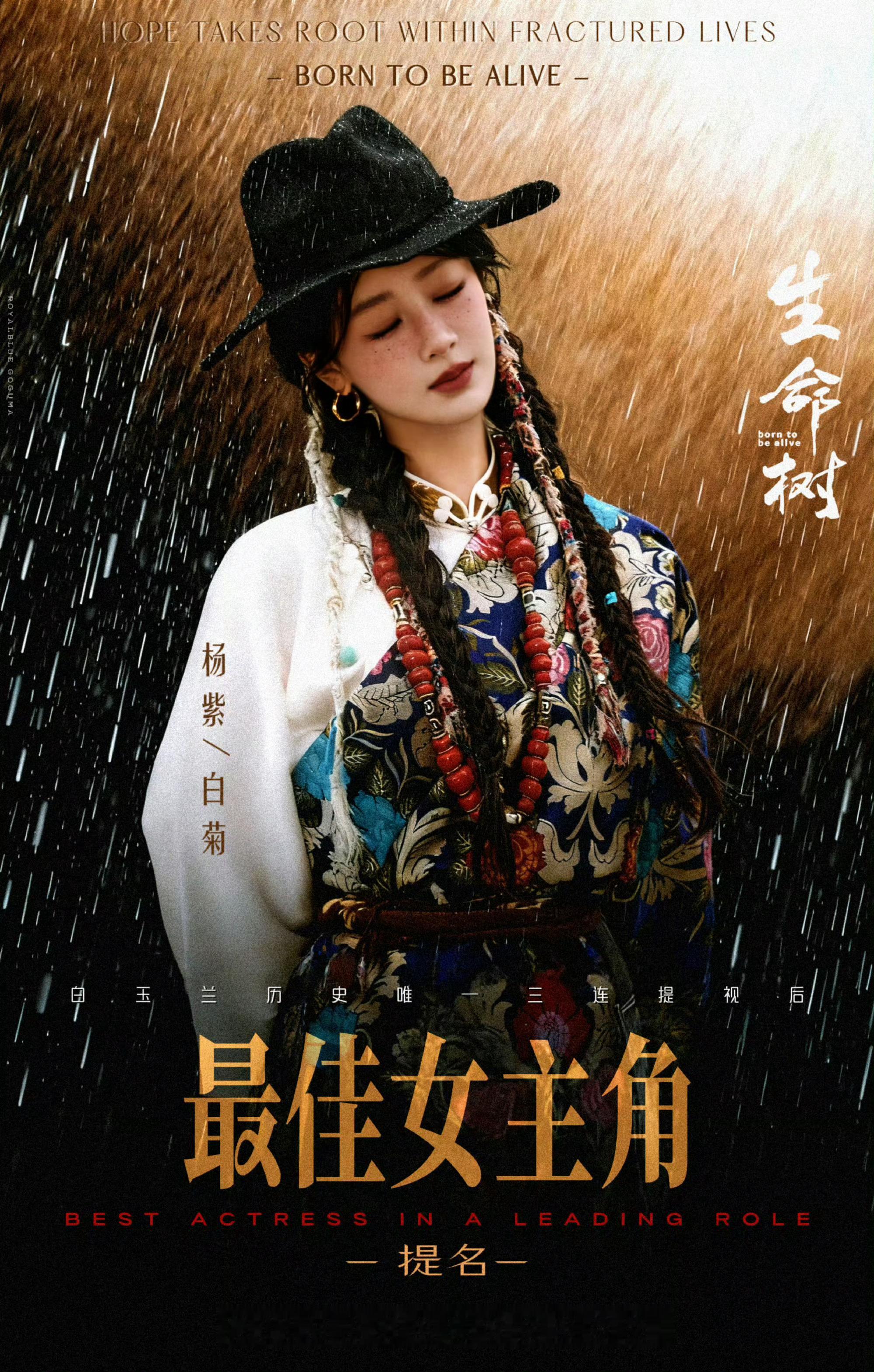 白玉兰倒计时