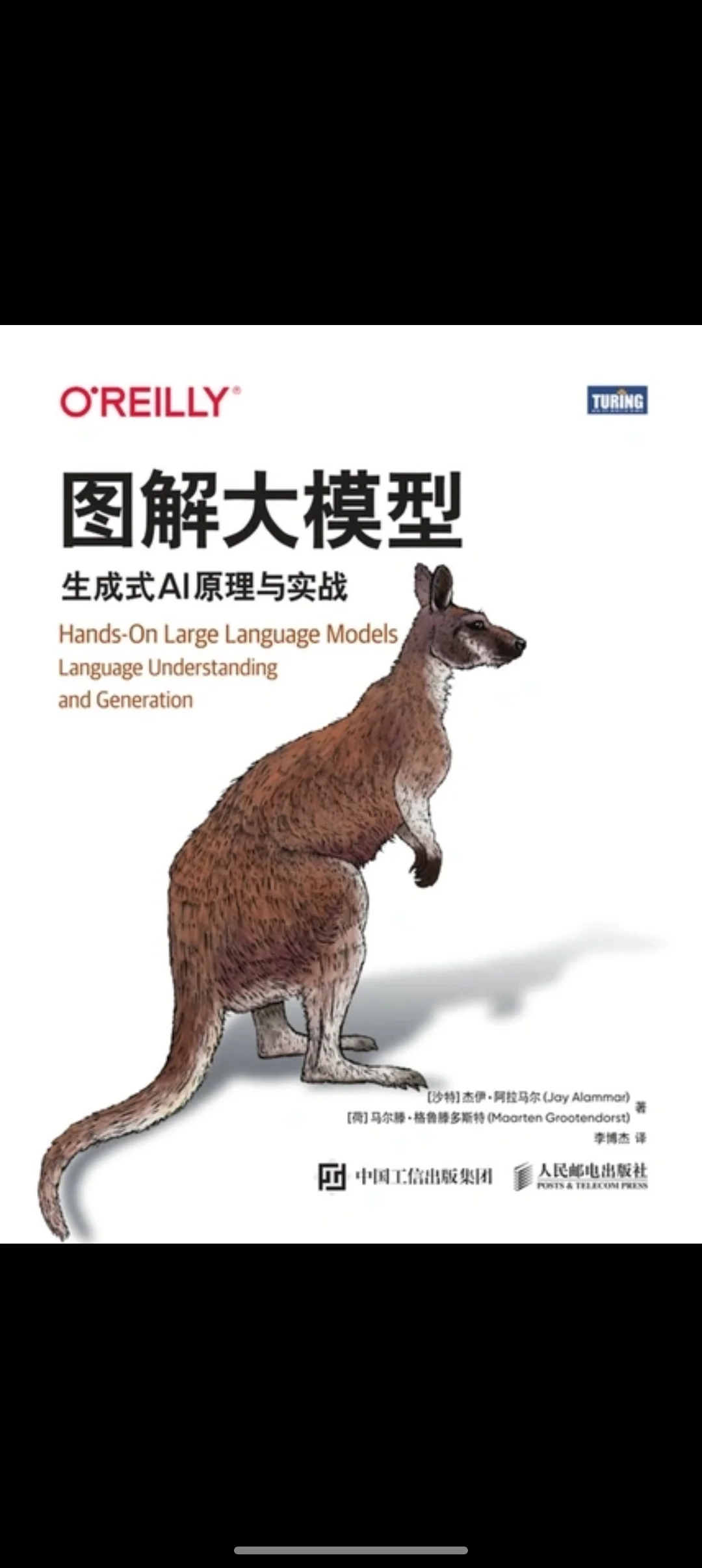 《图解大模型》