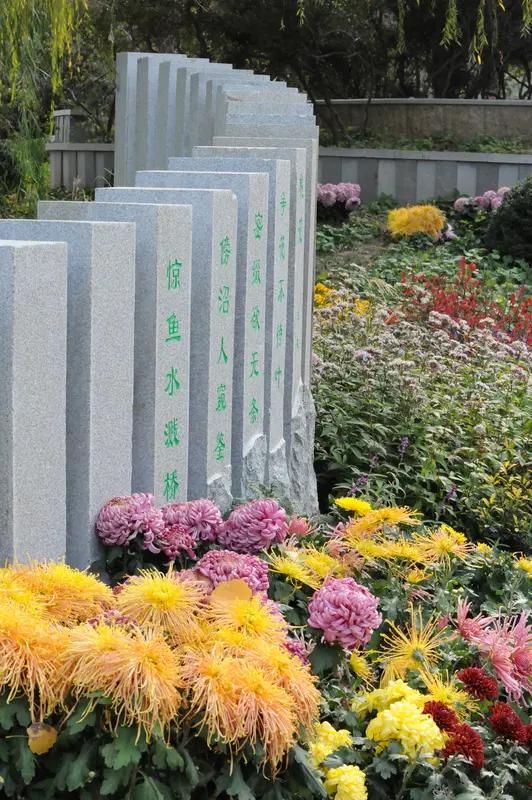 你能接受生态葬吗 生态葬这事儿争议挺大。传统土葬占土地、费钱财，很多家庭为此压力