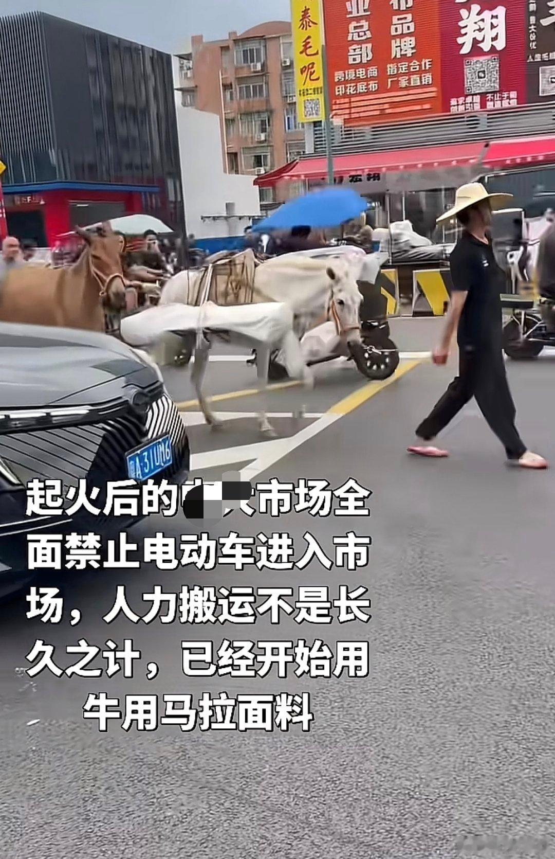 某地不许电鸡进入后，绿色环保的交通工具出现了。不知是不是摆拍，谨慎鉴别 