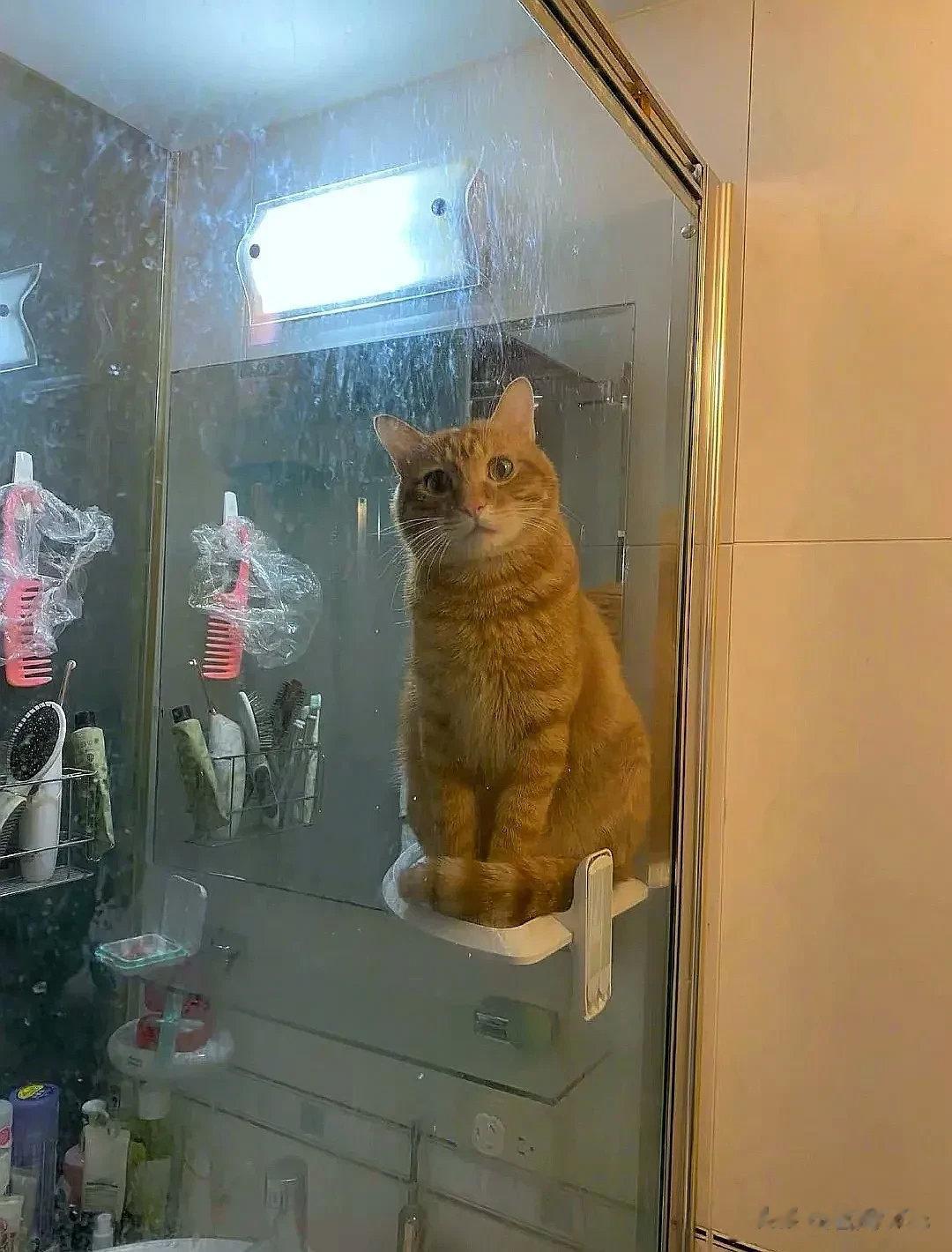 放大30倍，可以看到猫猫眼睛里的图像！