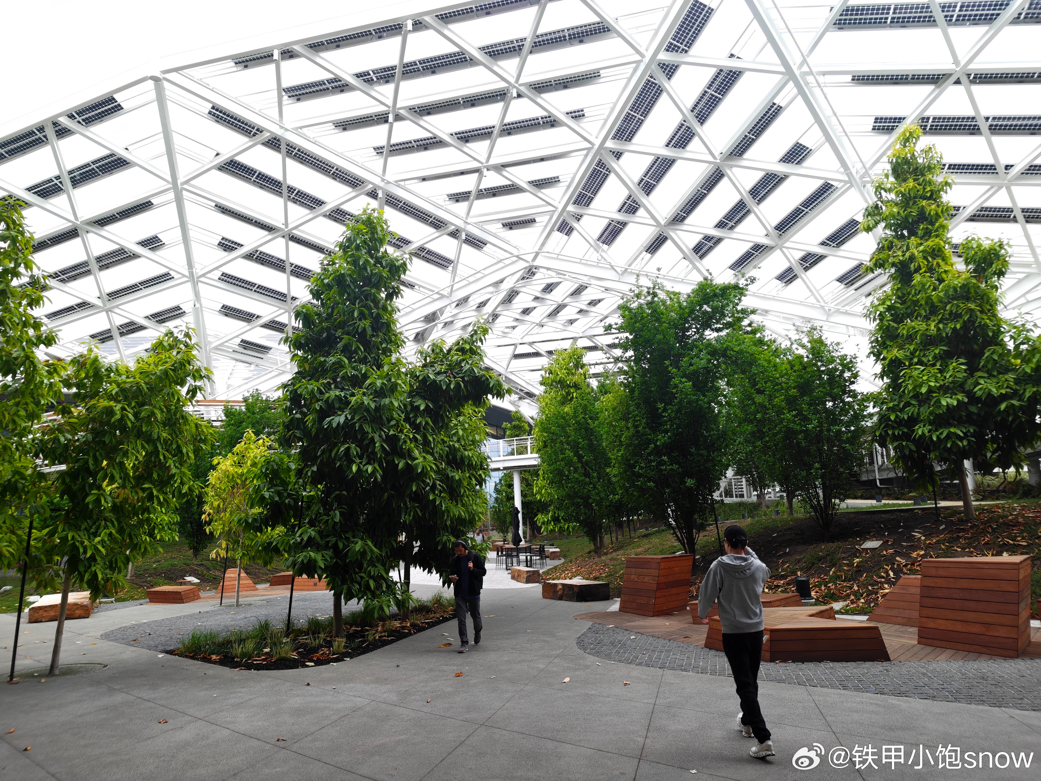 太伟大了英伟达