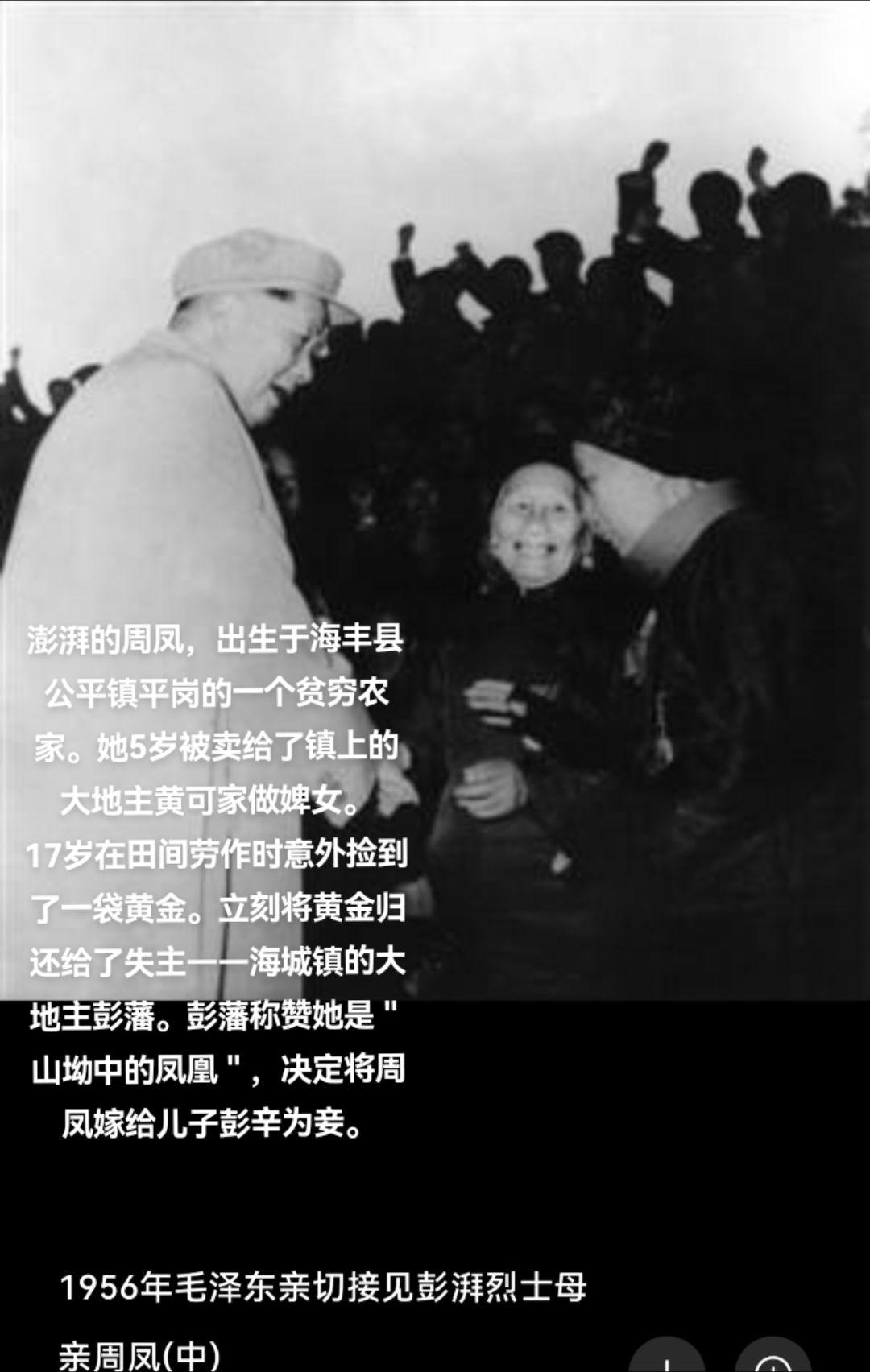 周凤，出生于海丰县公平镇平岗的一个贫穷农家。她七岁被卖给了镇上的大地主黄可家做婢女。在黄家她起早贪黑，洗衣做饭，侍候主人。
17岁的周凤在田间劳作时意外捡到了一袋黄金。立刻将黄金归还给了失主——海城镇的大地主彭藩。彭藩称赞她是＂山坳中的凤凰＂，决定将周凤嫁给儿子彭辛为妾。
彭藩家族是海丰一带首屈一指的大地主。彭藩家拥有大量田地、鱼塘、工厂等资产。周凤虽身份低微，却并未受到大太太和妯娌们的欺侮，反而颇受喜爱。她时常接济穷亲戚，从小就教育儿子彭湃要敢于质疑、敢于抗争。
1924年，澎湃组织并领导了农民运动。彭湃