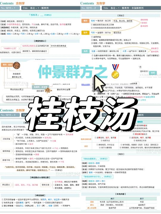 一起学第215篇｜方剂··桂枝汤