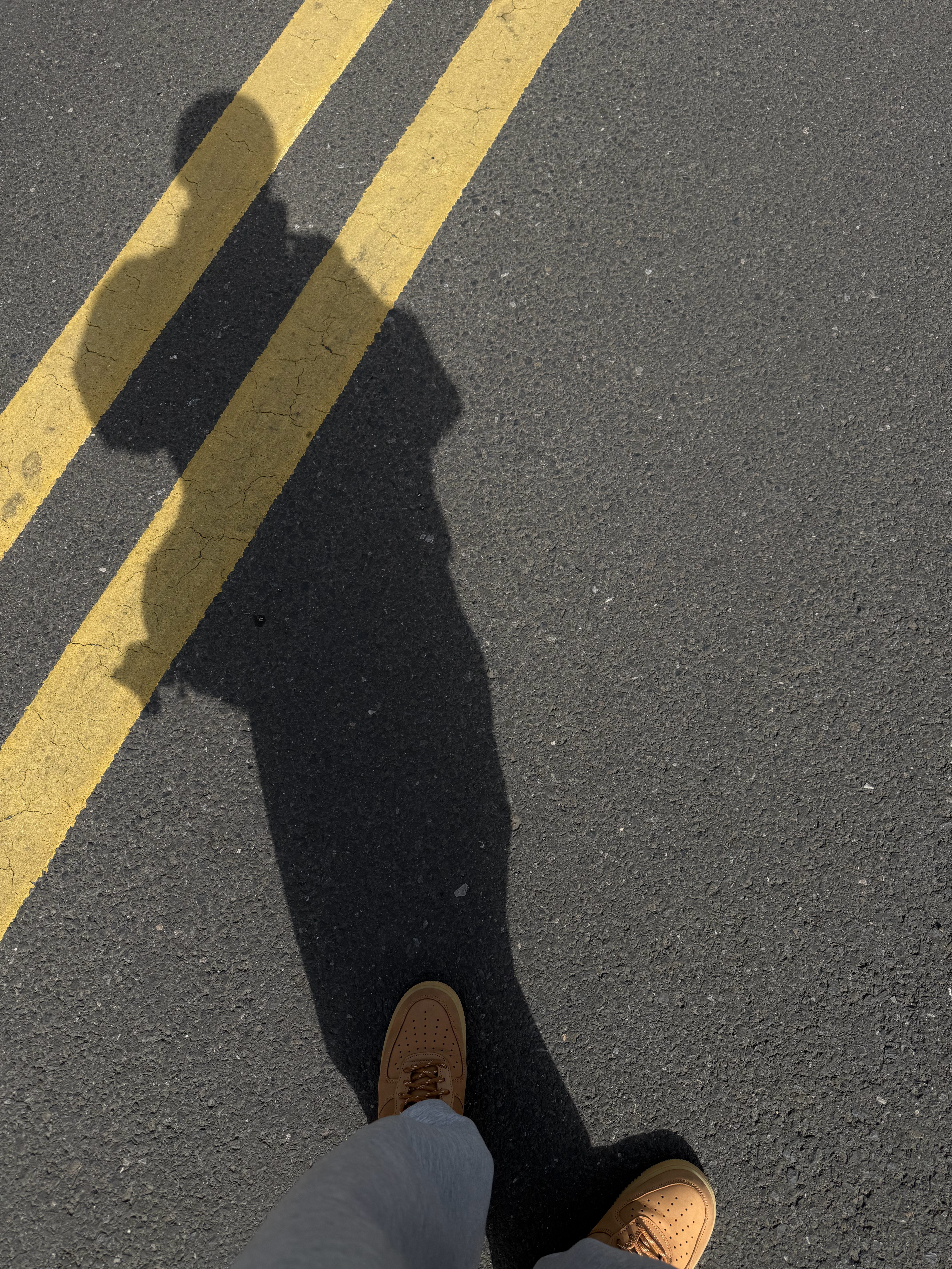 他从小按照乖乖男的样子长大活的过于教条他格外喜欢自由野性无拘无束的东西他小时候极