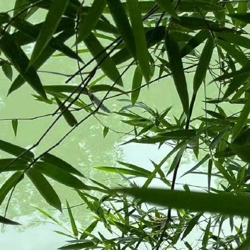 阳光信用阳光信用 每日一善 生活难免有风雨，别让焦虑困住自己。过往皆序章，未来犹
