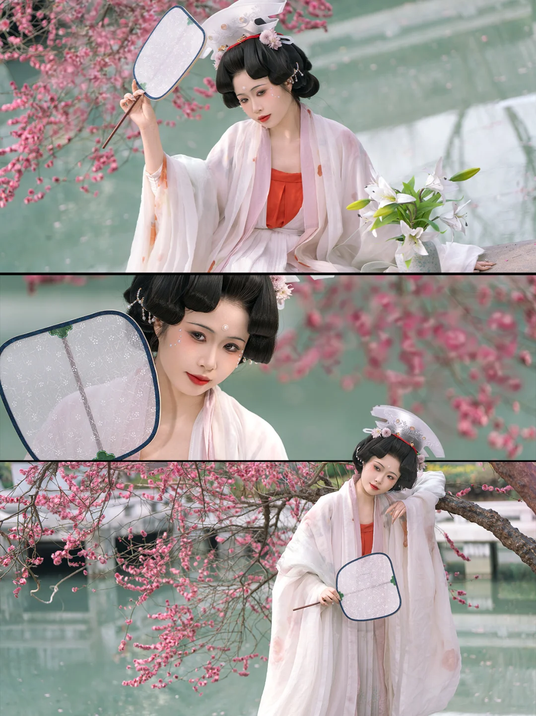 拍到了洛阳的第一批梅花！！