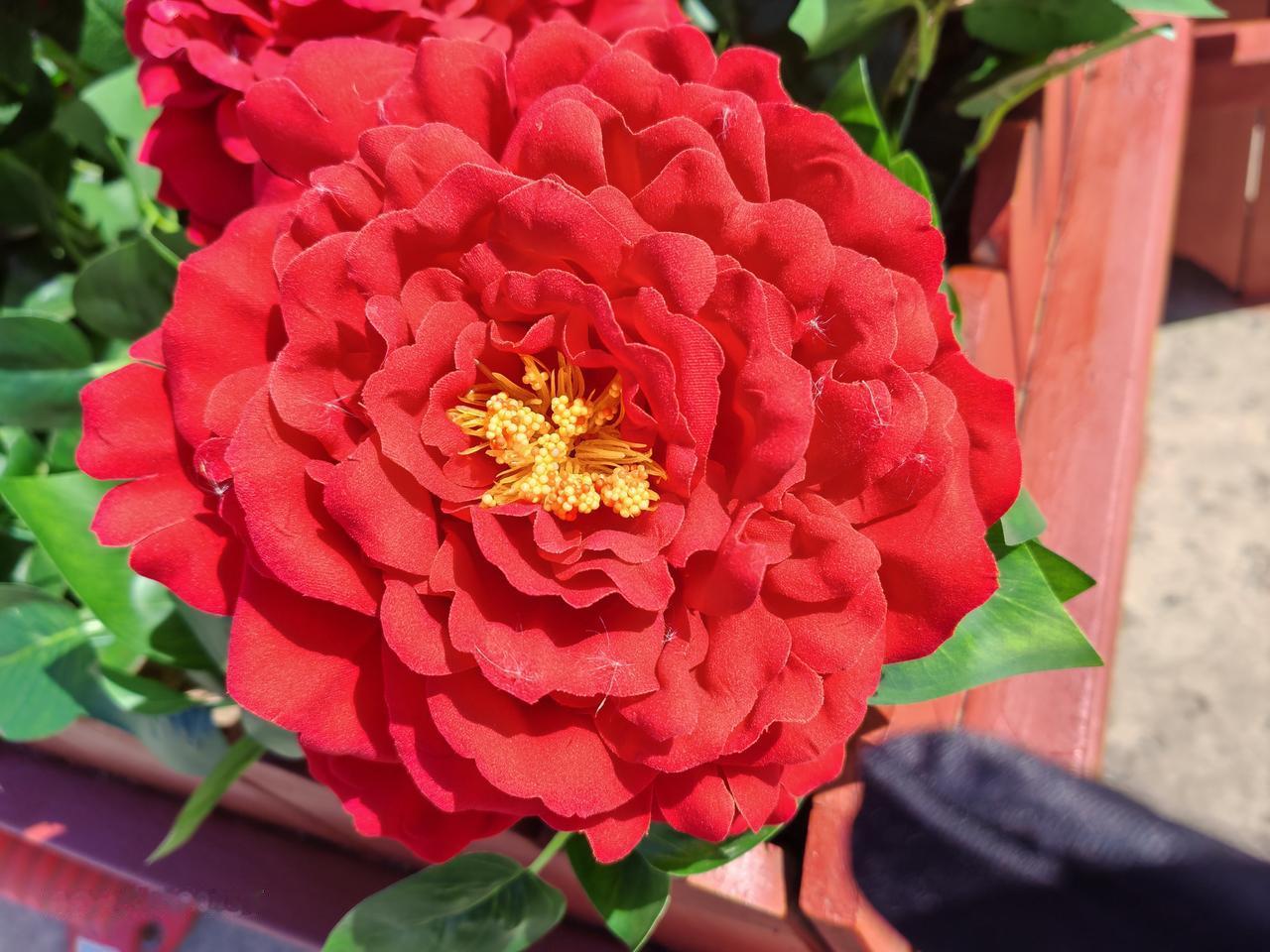 春天花会开，
快乐每一天。