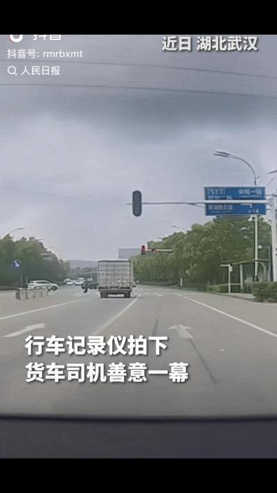 中国好司机！湖北一货车司机在红绿灯路口横了一把方向，将后车硬生生别停，开始还以为