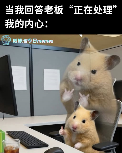 情绪buff（9gag）今日meme今日memes