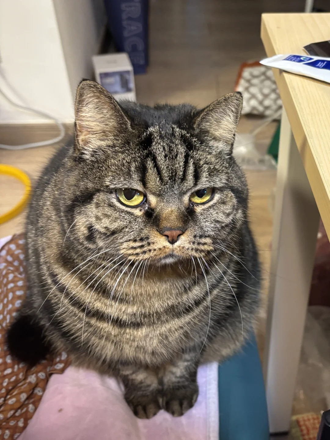 人，很不高兴为你服务