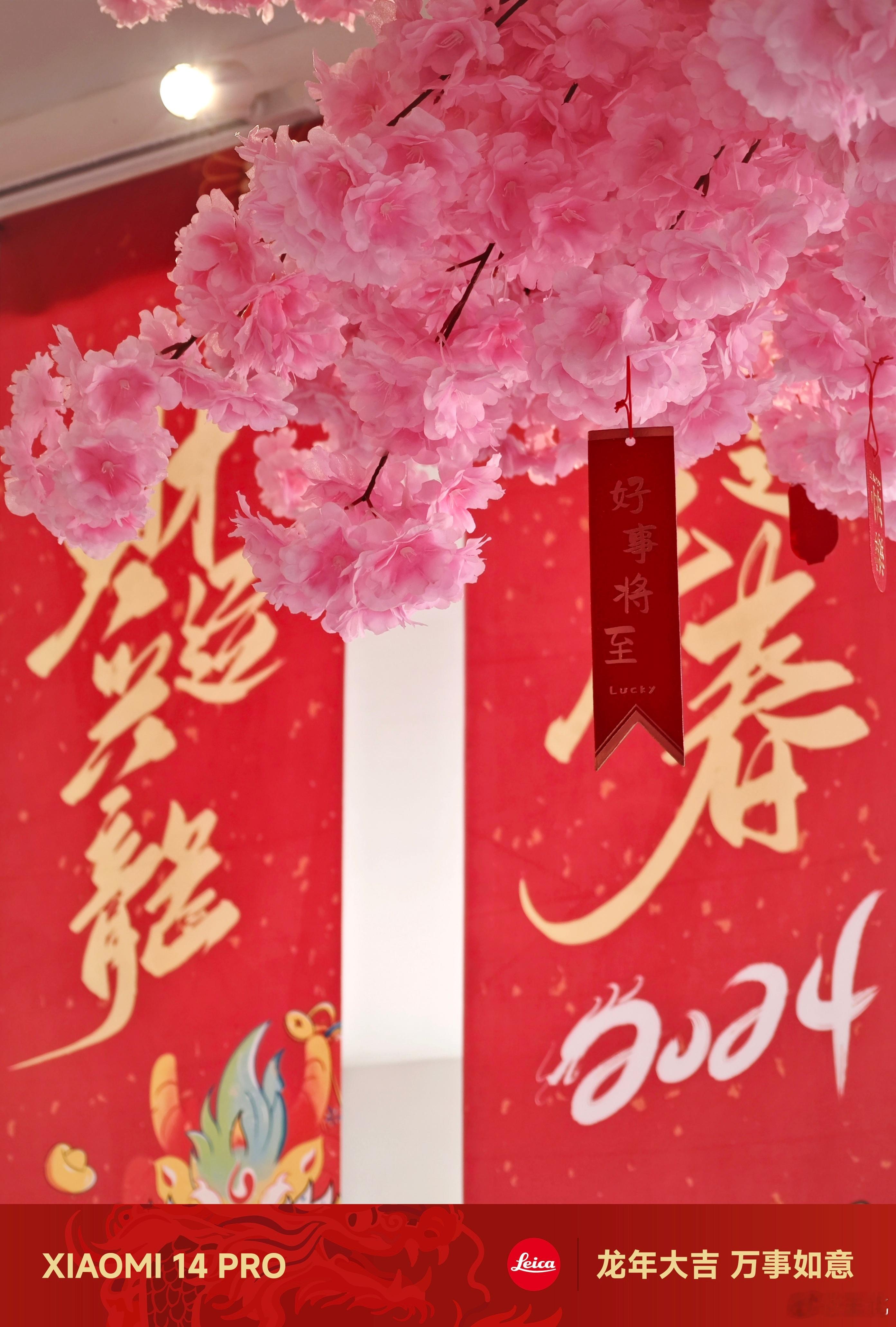 刚刚小胖在群里面说，新年睡懒觉，寓意这一年高枕无忧。我躺在床上非常同意这句话，毕