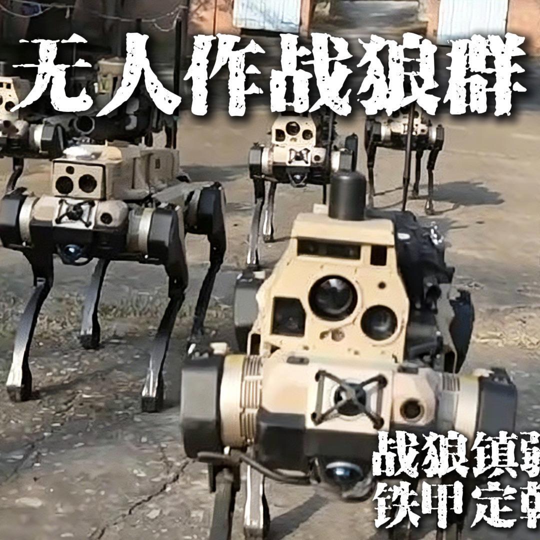你知道中国的无人化作战到底有多强吗？

这是一支足以让对手绝望的狼群，当敌人在战