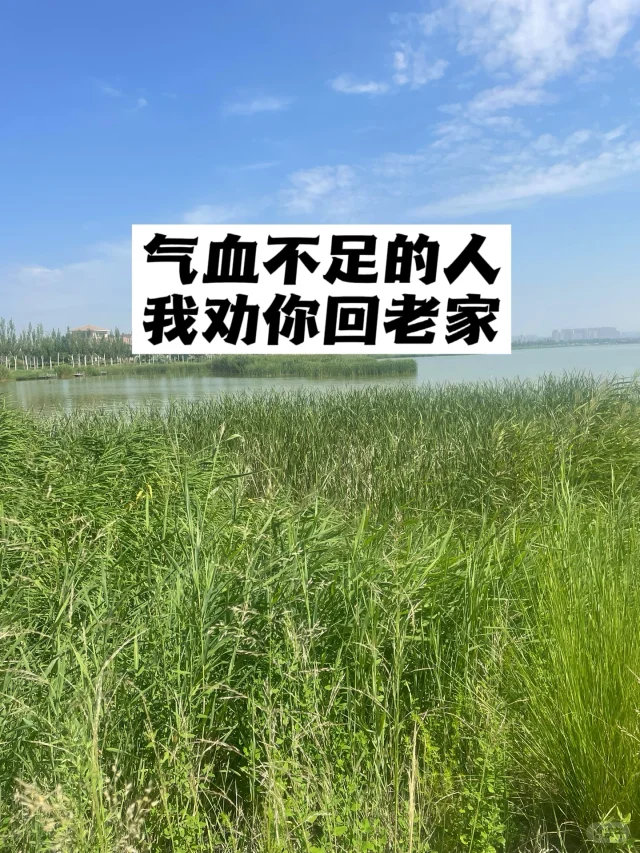 气血不足的人，我劝你回老家.