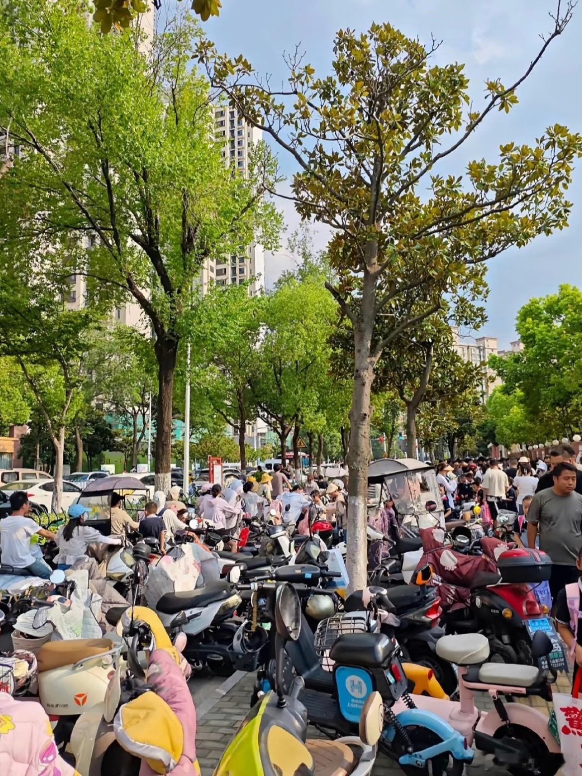 开车接娃难题如何解决这我有话说，之前在我姑姑家住了一点时间天天接送小外甥，如果开