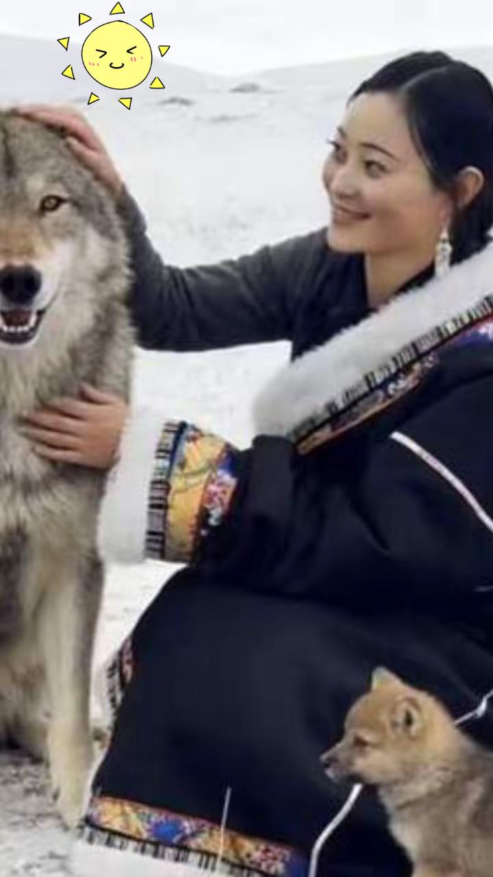 不是谁都能当狼妈李微漪！

这份用命换的守护，真不是一般人能做到的。

为送格林