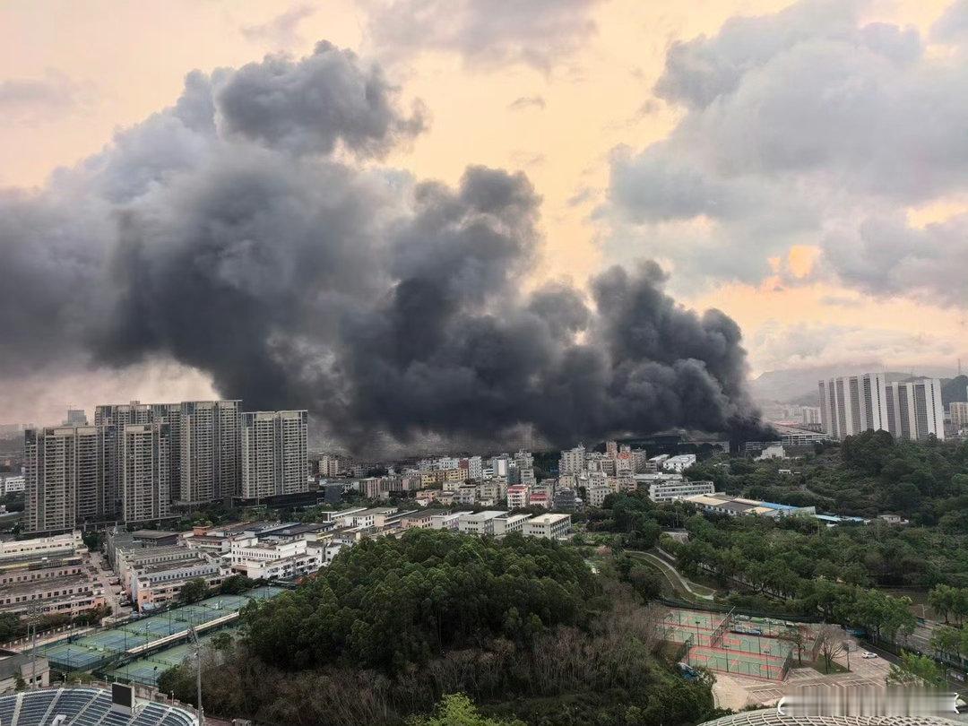 阎肃观察肃言肃语比亚迪公司起火起火的是一个立体车库，该车库为试验及报废车辆专用停