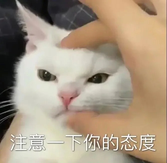来丰富一下表情包