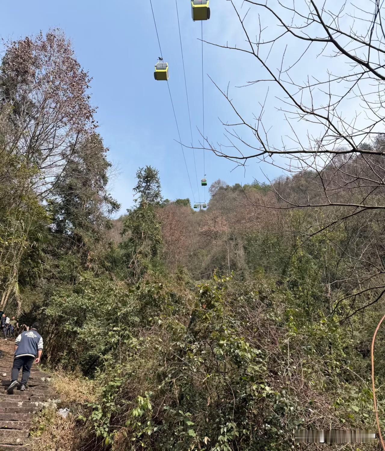 杨家界索道 避雷！！

今天赶早走东门B线，7:30进门，10:30就到杨家界，