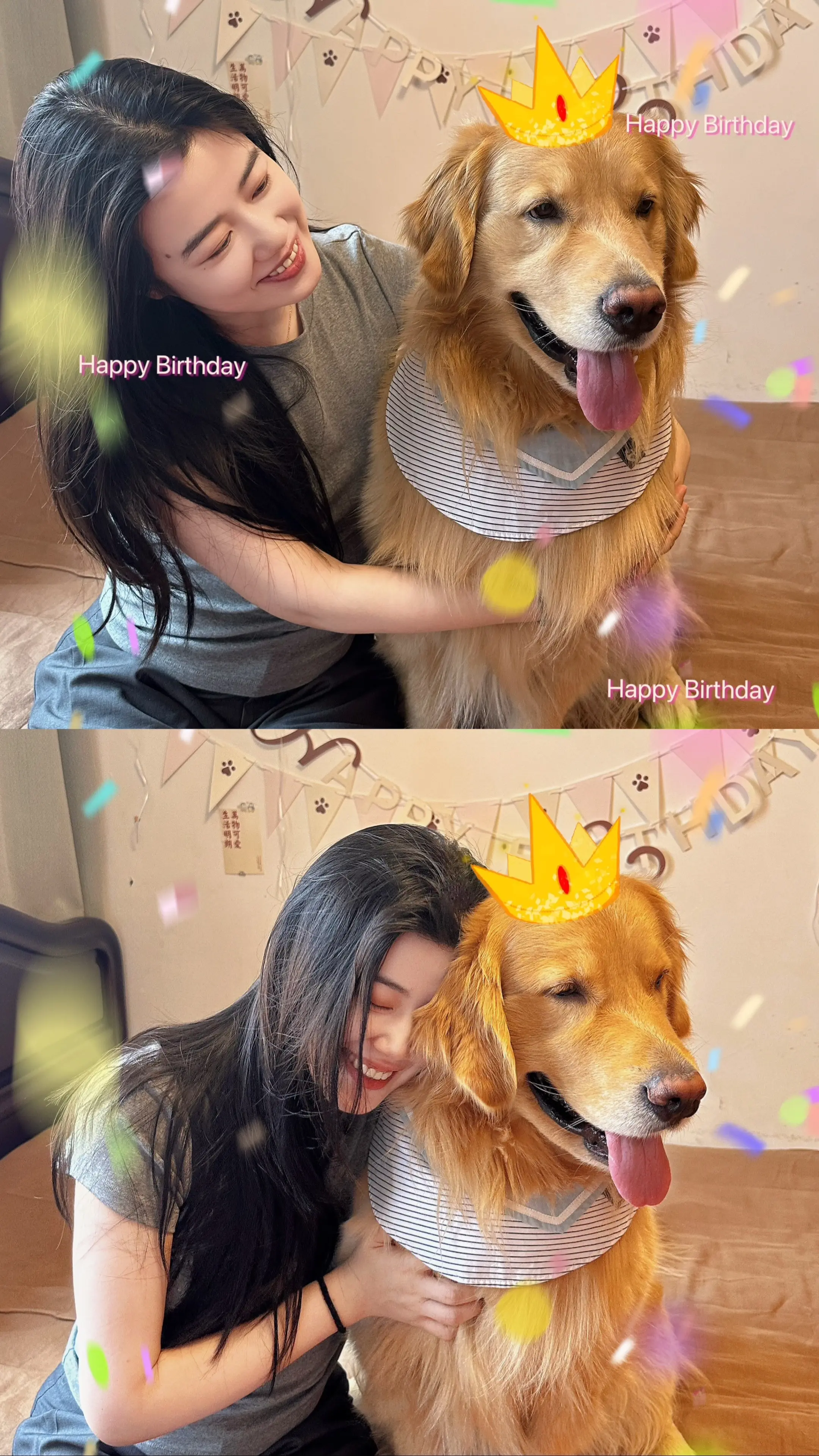 又丸子两岁啦！大宝生日快乐！健康成长，快乐幸福🥰我们爱你