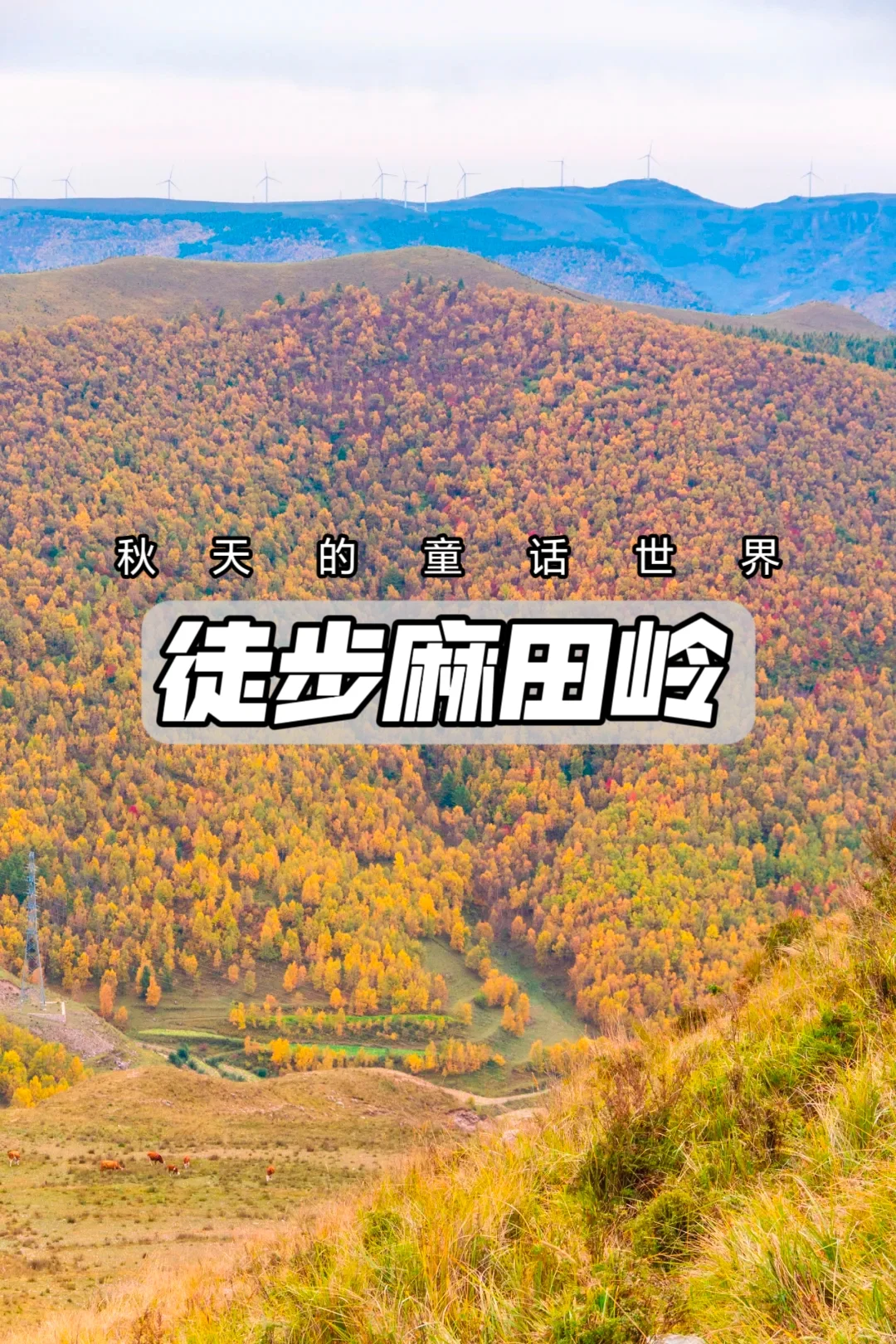 徒步麻田岭，看秋天里的童话世界