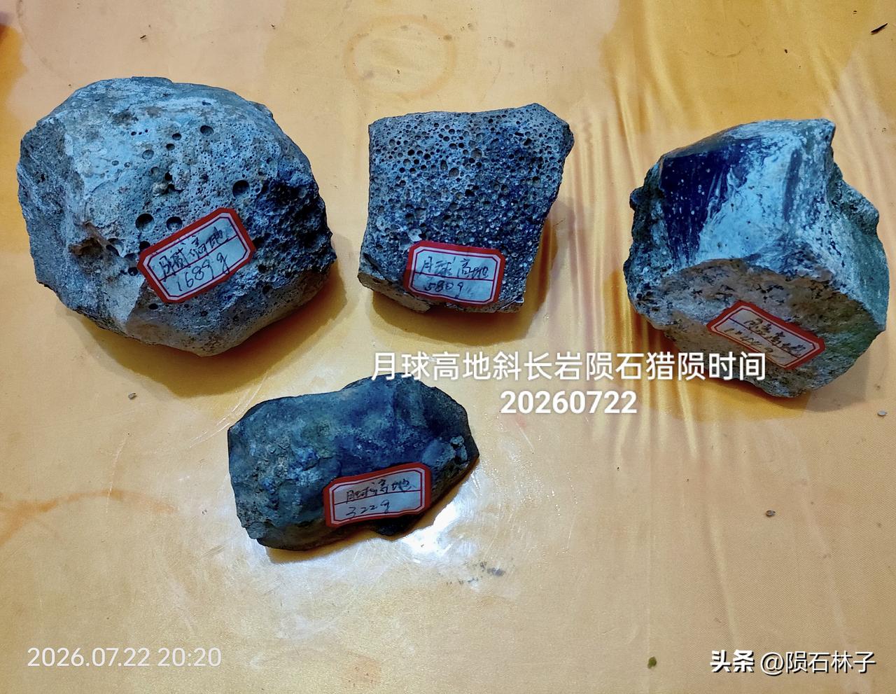 今日于林间实地猎陨，收获四块月球高地斜长岩陨石。四块陨石皆于今日在原生林地原位寻