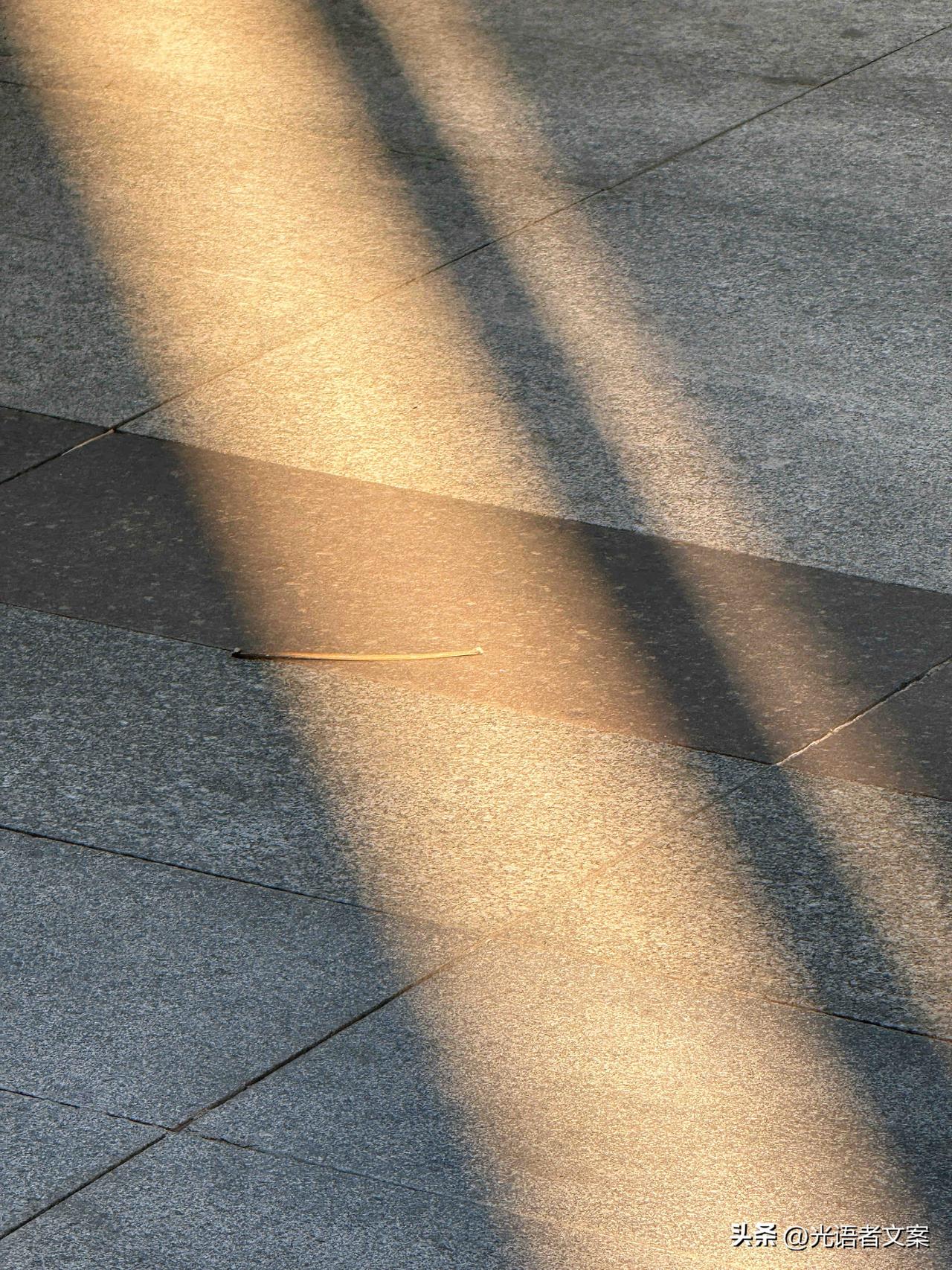 人一旦悟透
就会变得沉默

不是没了与人相处的能力
而是没了逢场作戏的兴趣