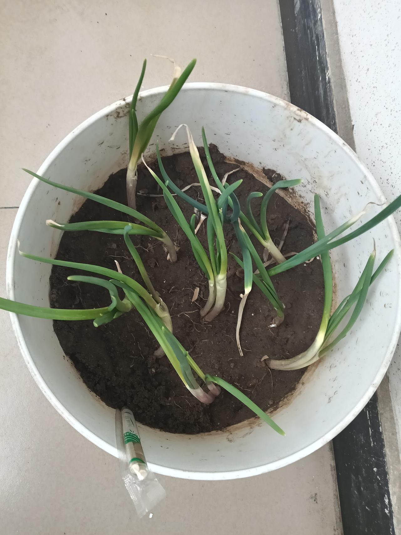 管理学有一段深刻的观察：
​“永远别指望一个团队，能够自动、持续、高效地运转。一