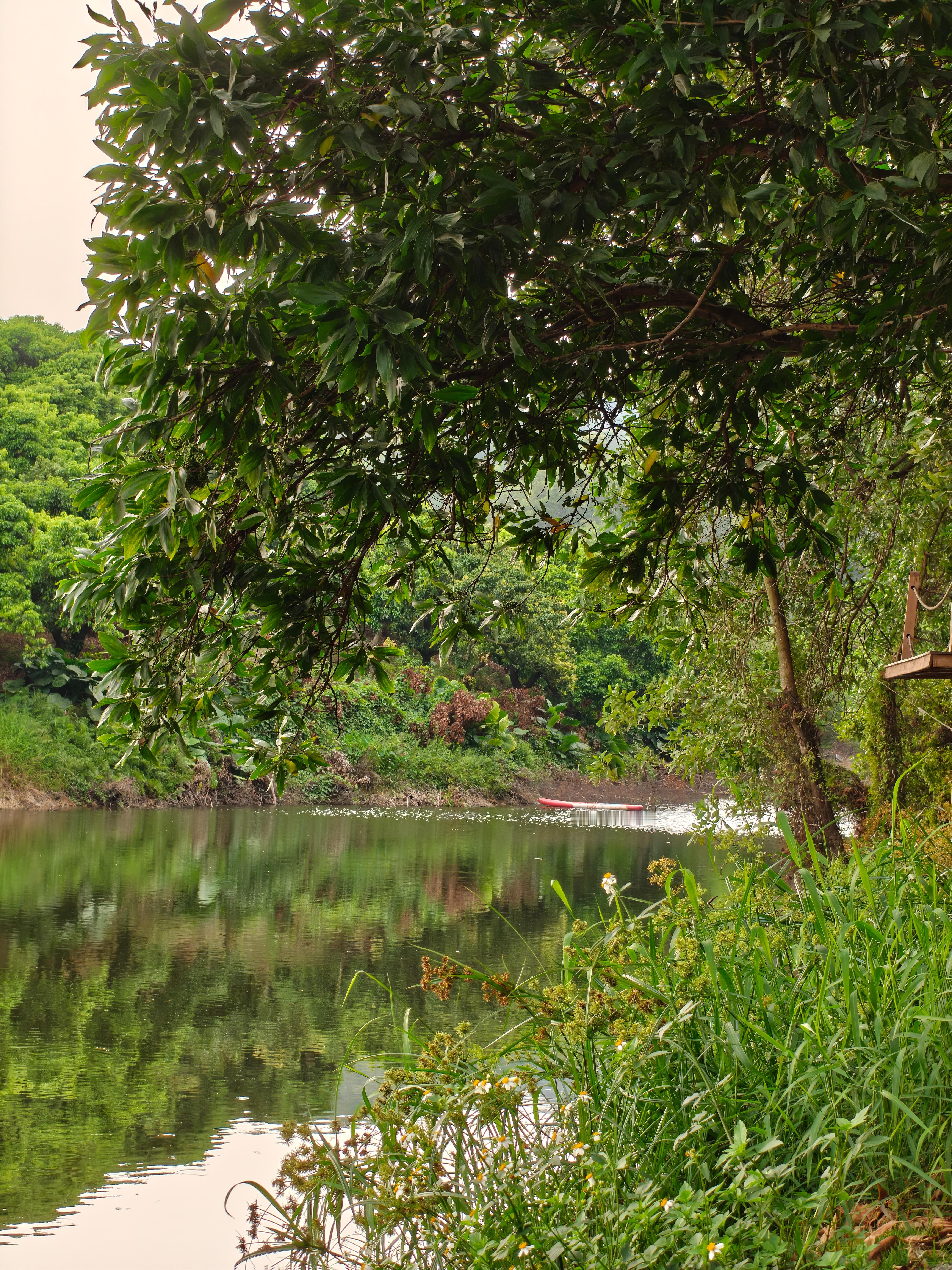 适合发呆的地方 东莞·城市深林露营地