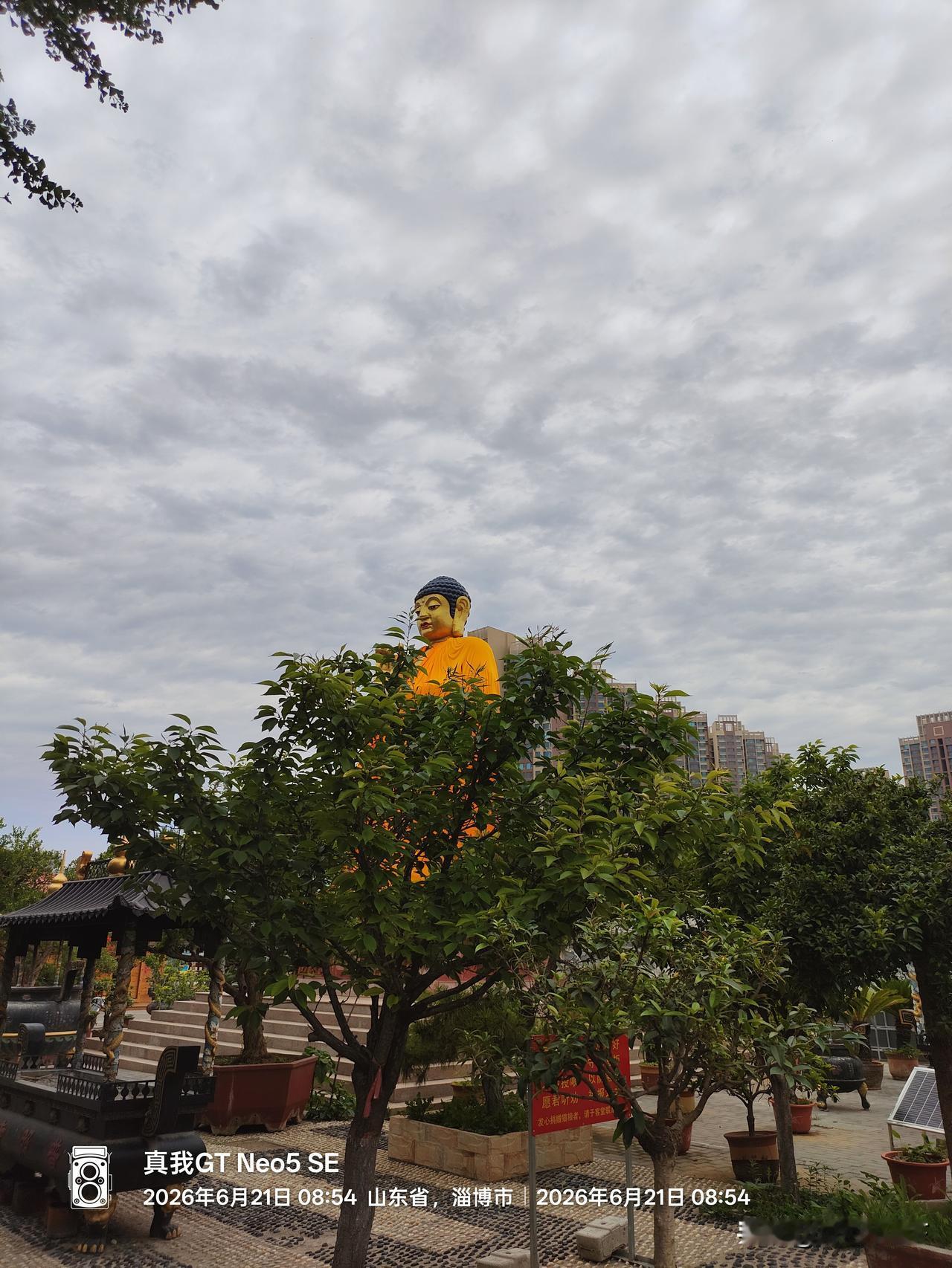 陪妻子去普照寺祈祷已成常态

去寺院次数多了，感觉这寺院里的气场不仅仅是庄严，还