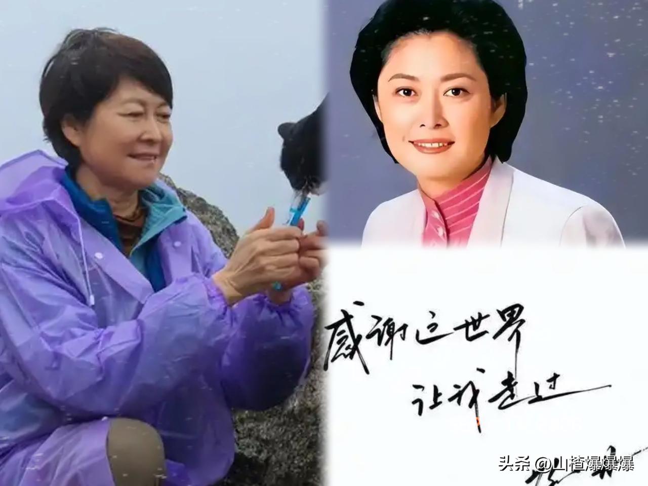 敬一丹的丈夫是王梓木，
华泰保险的创始人，
但她从来没有借过丈夫一点儿光，而是自