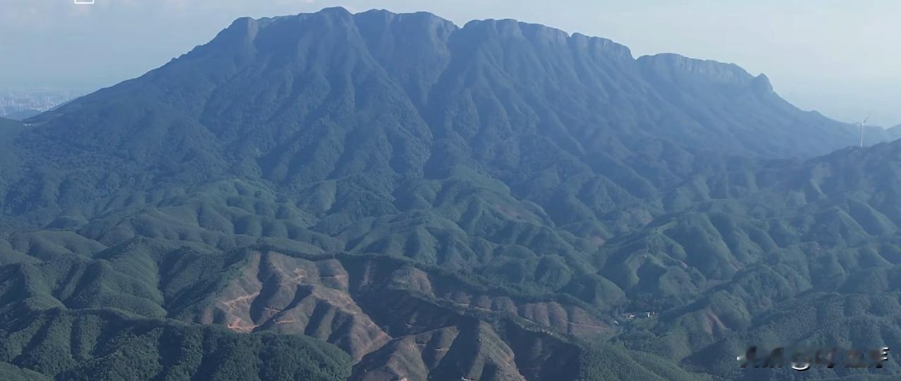 众脉齐出，气象万千