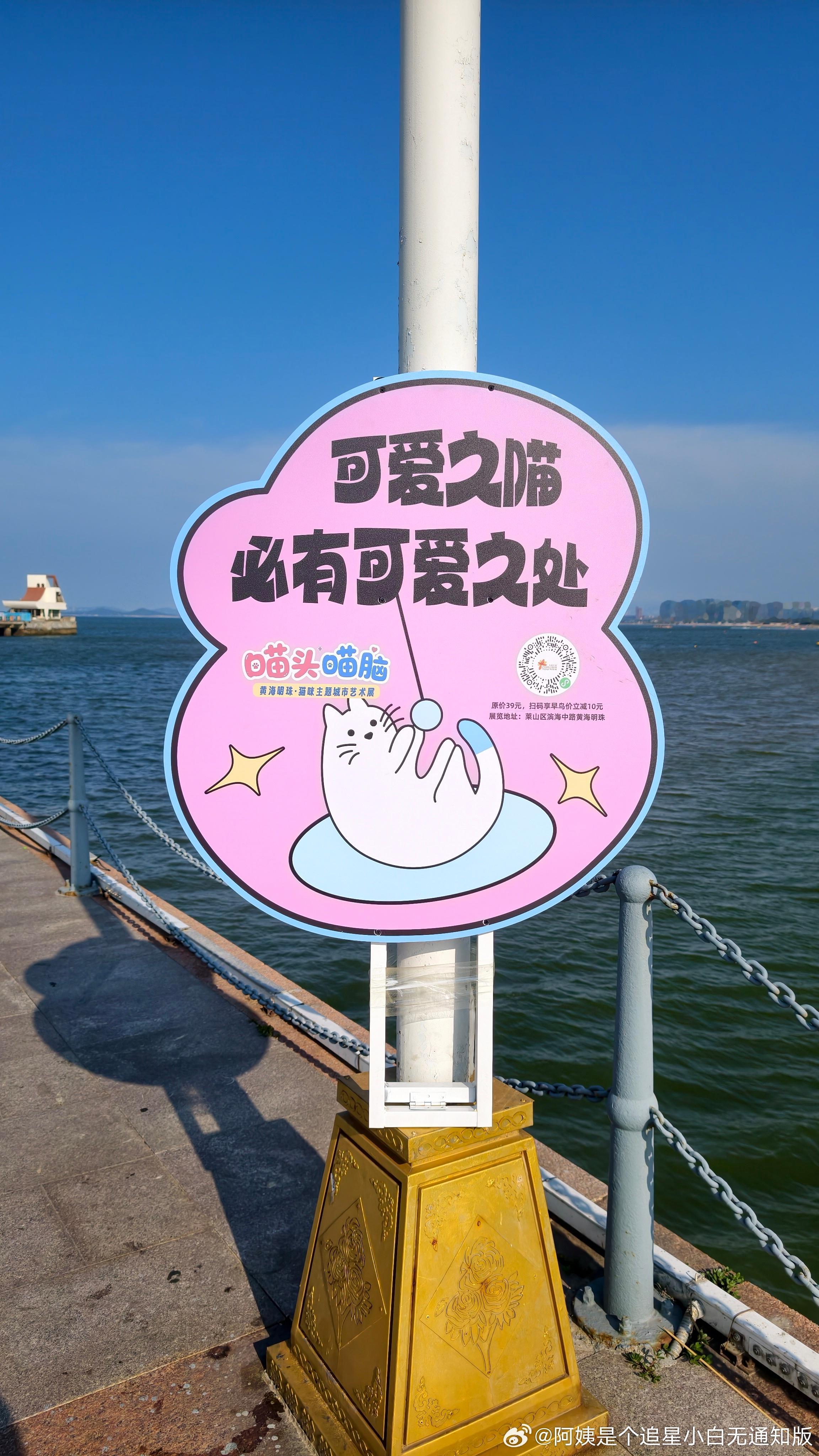 是你会喜欢的牌子
