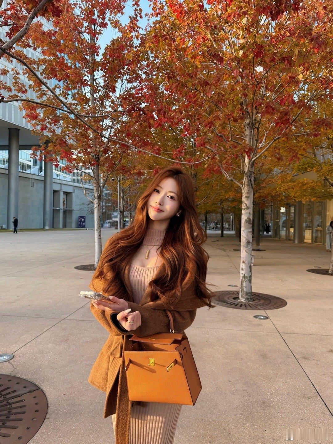 🍂落叶像雪的季节 