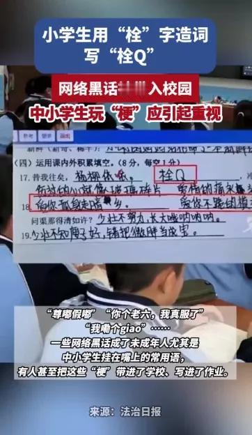 要我说，早该治理了！传统文化快废了！语言的美丽变得丑陋不堪！

妈，我这次考试绝