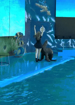 海洋馆表演节目