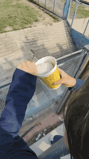 不得不说，
小姐姐真的很调皮。