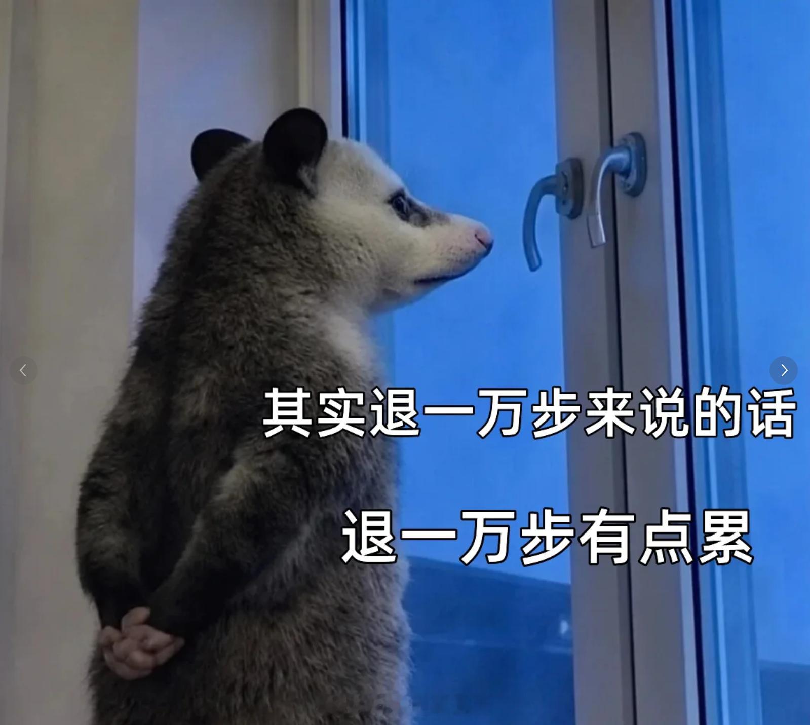 自媒体还是值得做的~《纳瓦尔宝典》里说过，“代码和媒体是不需要许可就能使用的杠杆