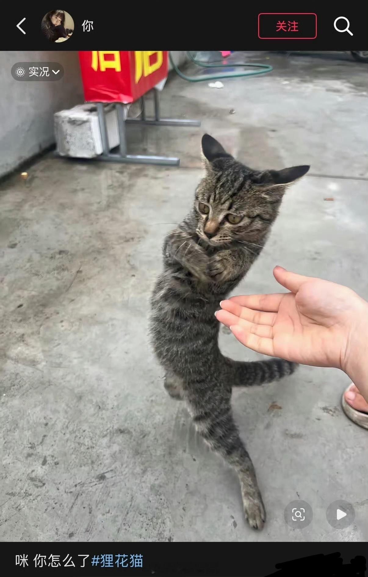 好拽！ ​​​