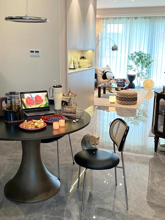 29岁独居，和猫猫🐈一起住进理想中的小家🏠～