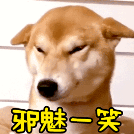 中午12点回大号