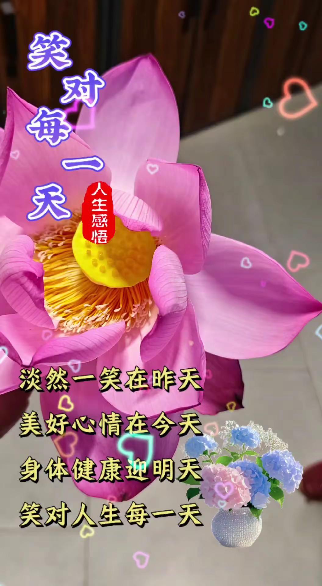 最爱听的一首老歌迫不及待就发出来了😁